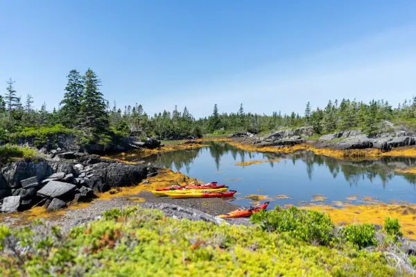 Bunte Kajaks liegen am Ufer bereit für einen **Urlaub im August**. Die felsige Küste mit Kiefern und Seetang lädt zum Erkunden ein.